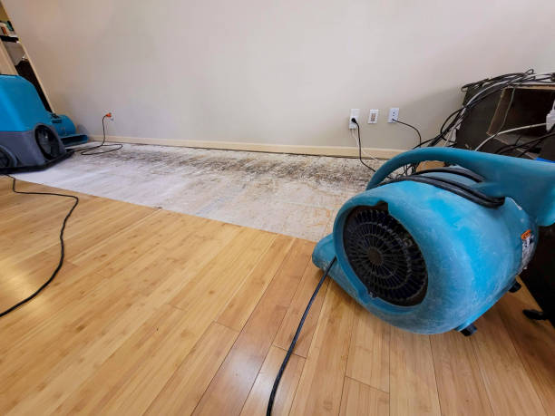 Professional Basement Flood Cleanup technician working in Medina, ND